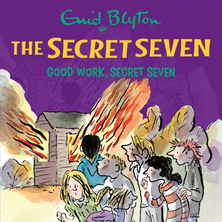 Secret Seven: Good Work, Secret Seven