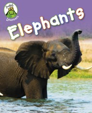 Froglets: Learners: Elephants