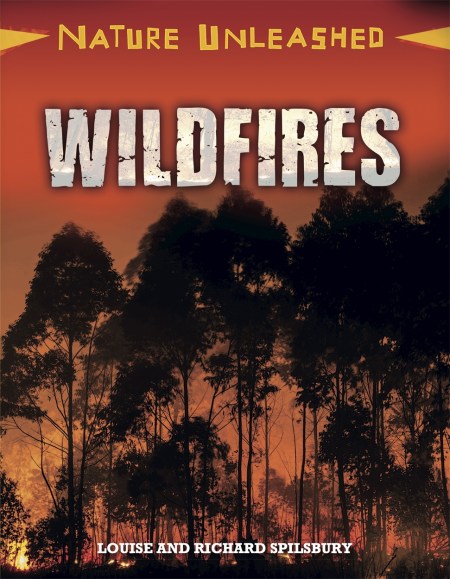 Nature Unleashed: Wildfires