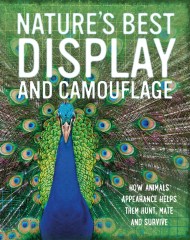 Nature’s Best: Display and Camouflage