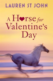 A Horse for Valentine’s Day