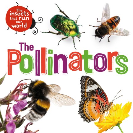 The Insects that Run Our World: The Pollinators