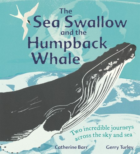 The Sea Swallow and the Humpback Whale