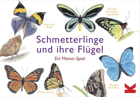 Schmetterlinge und ihre Flügel