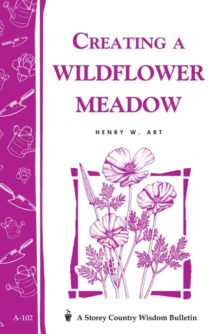 Creating a Wildflower Meadow