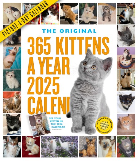 365 Kittens-A-Year Picture-A-Day Wall Calendar 2025