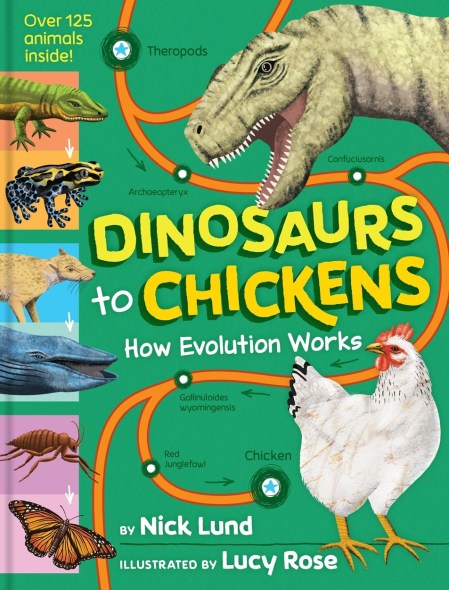 Dinosaurs to Chickens