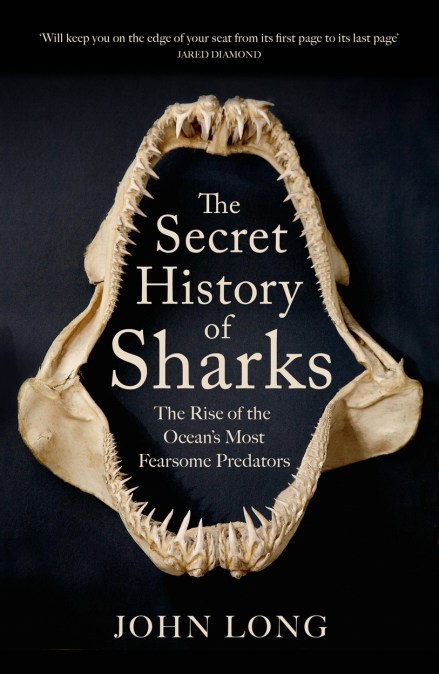 The Secret History of Sharks