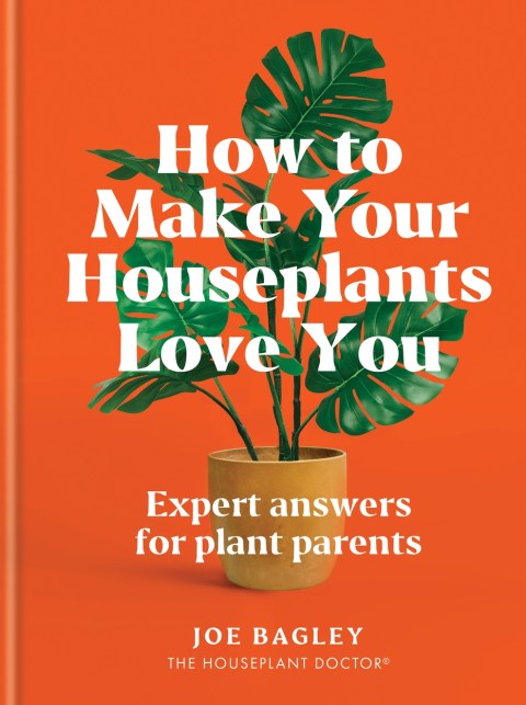 How to Make Your Houseplants Love You