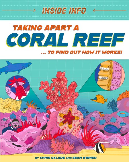 Inside Info: Taking Apart a Coral Reef