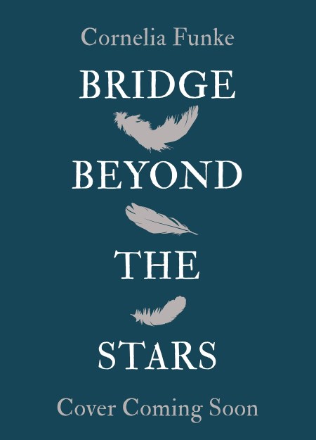 The Bridge Beyond the Stars