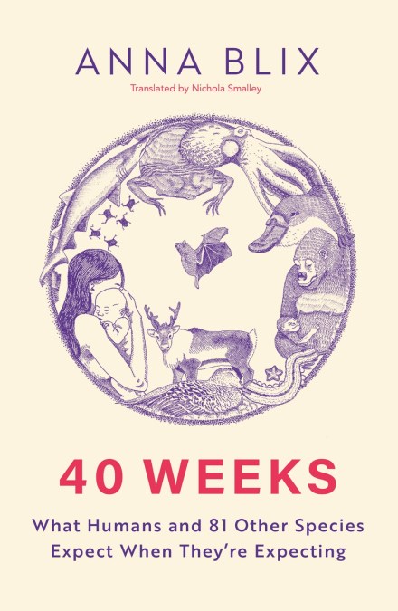 40 Weeks