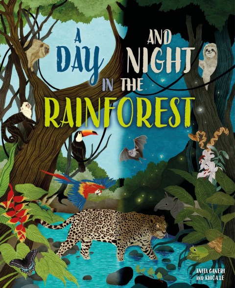 A Day and Night: In a Rainforest