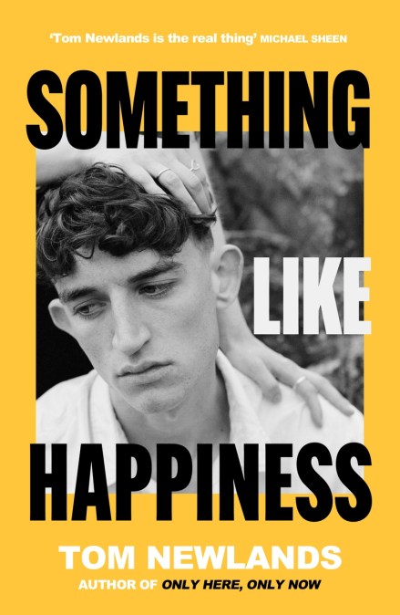 Something Like Happiness