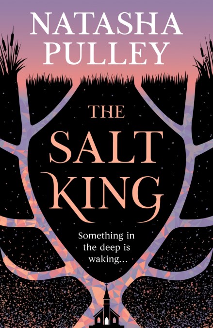 The Salt King