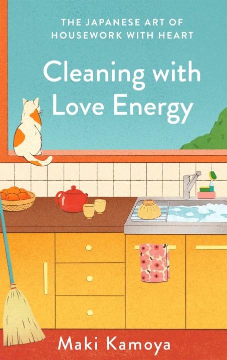 Cleaning with Love Energy