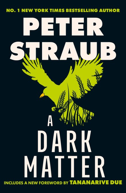 A Dark Matter